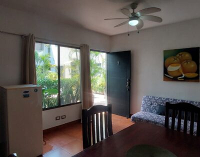 Condo Libertad Unit 9